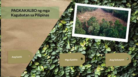 pagkalbo ng kagubatan|Pagkakalbo ng kagubatan by Dion Nuyda on Prezi.